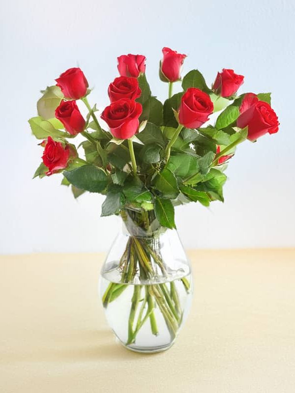 florero-de-12-rosas-rojas-ecuador (1)