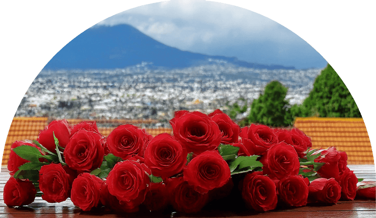 flores-a-domicilio-ambato