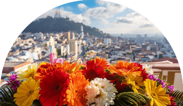 flores-a-domicilio-guayaquil